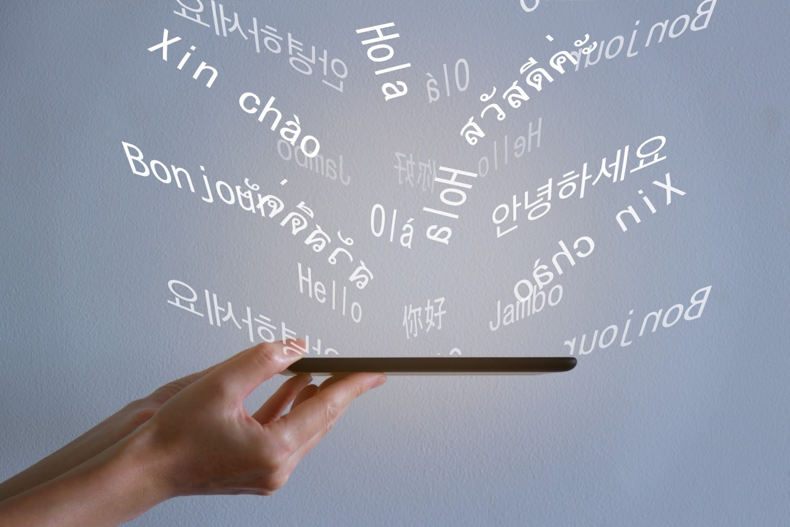 大学3.jpg 大学3.jpg