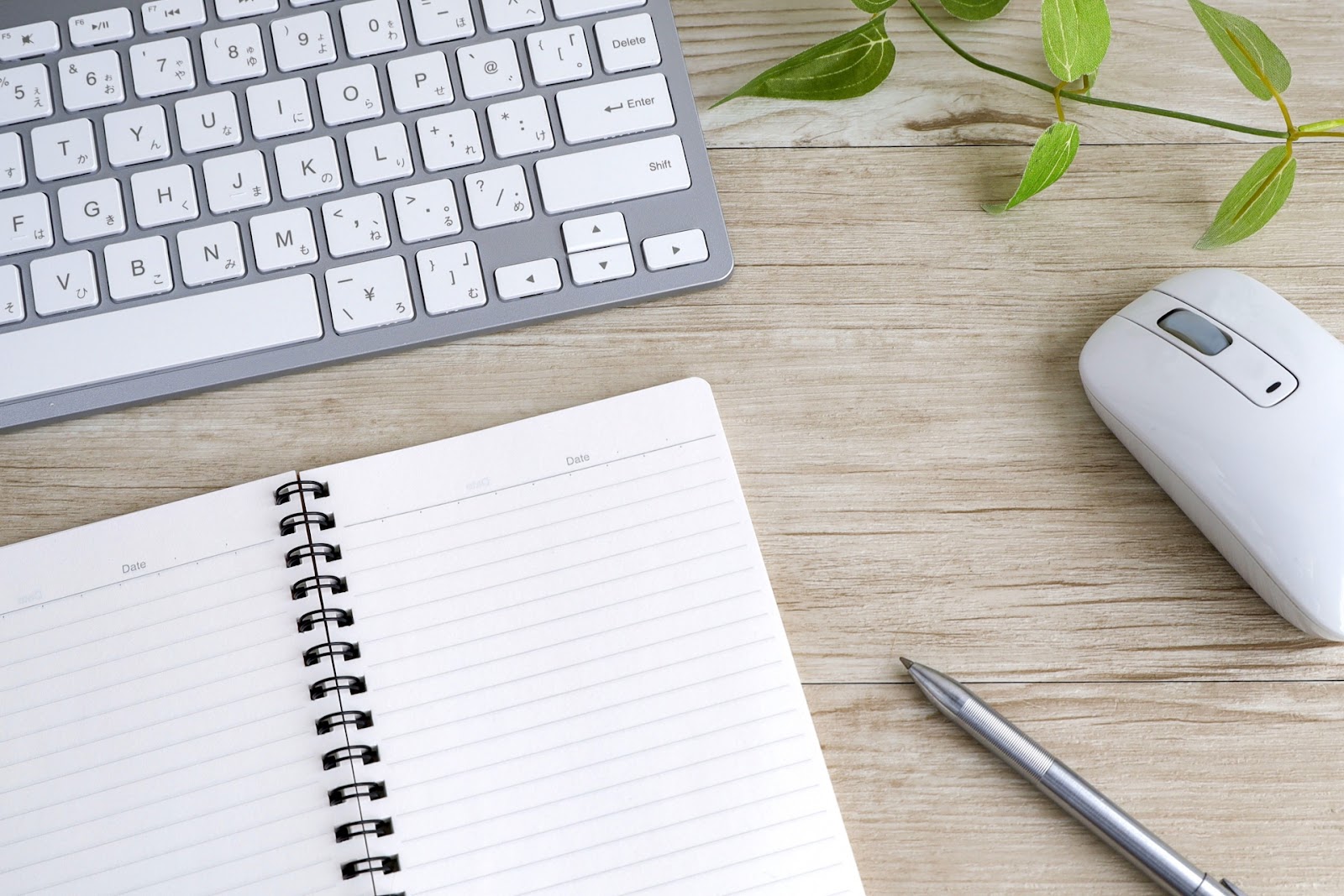 unnamed.jpg unnamed.jpg