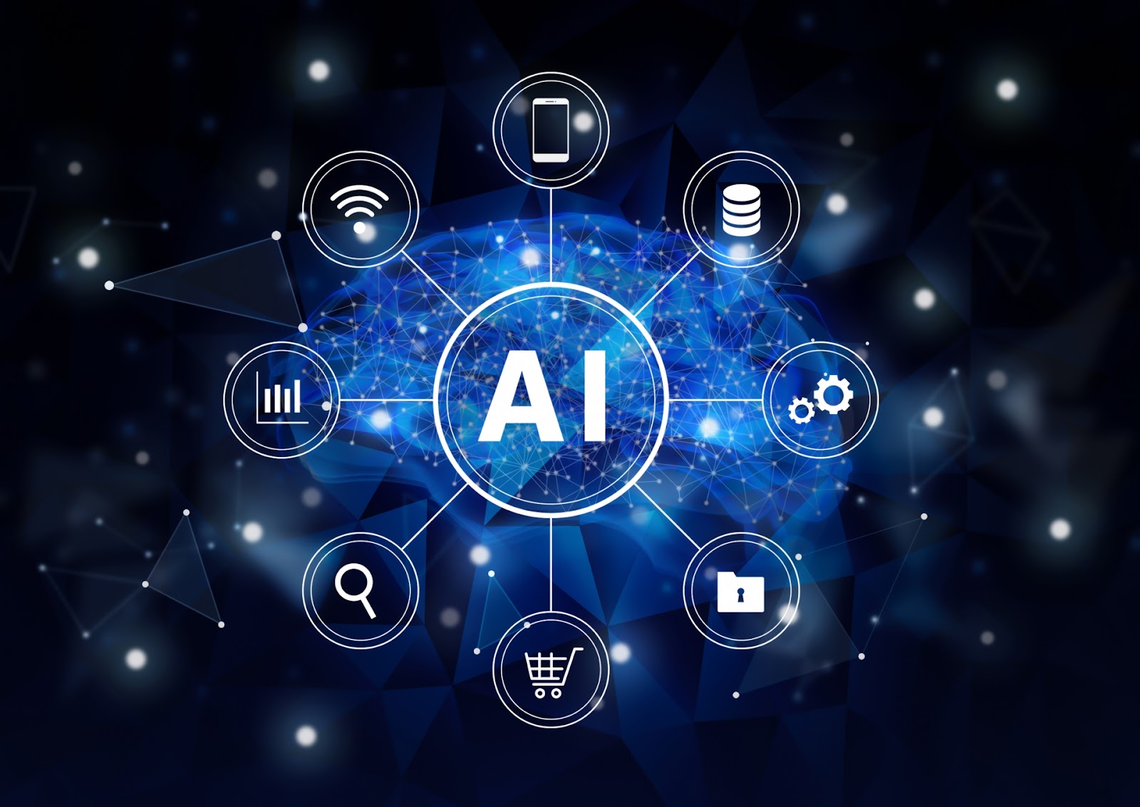 b5d331a1-9f61-44b3-b094-f9651dd15529.jpeg b5d331a1-9f61-44b3-b094-f9651dd15529.jpeg