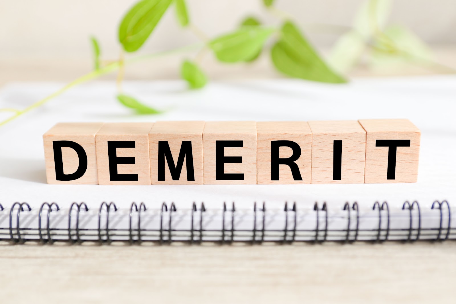 02f350da-f8fd-4167-969e-66e461d5d9ea.jpeg 02f350da-f8fd-4167-969e-66e461d5d9ea.jpeg