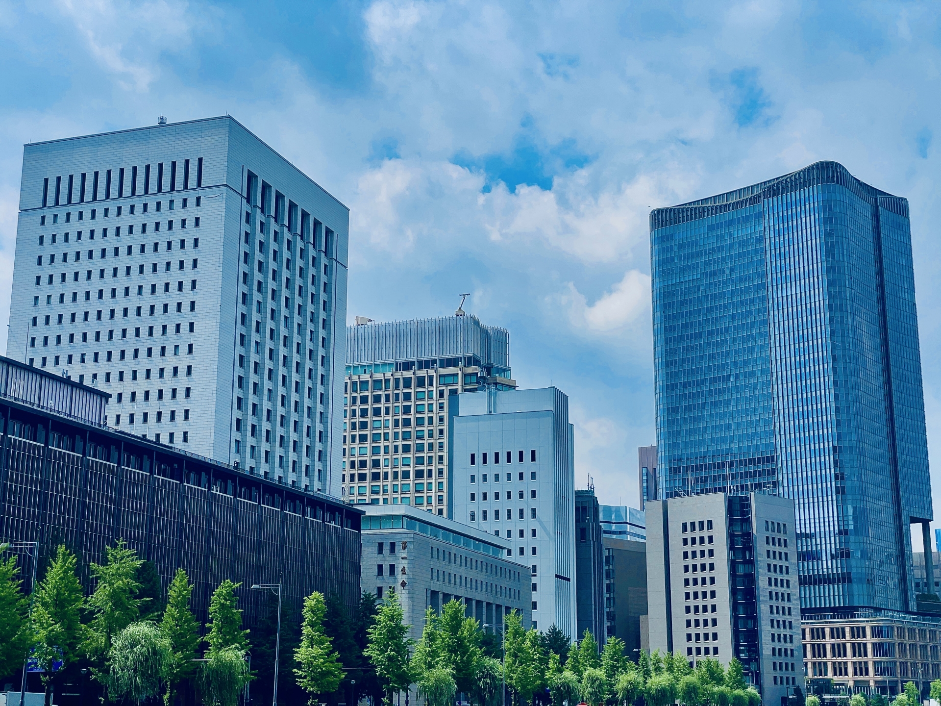 image11.jpg image11.jpg