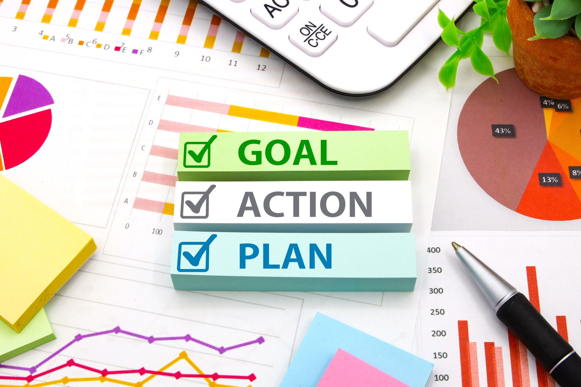 image7.jpg image7.jpg