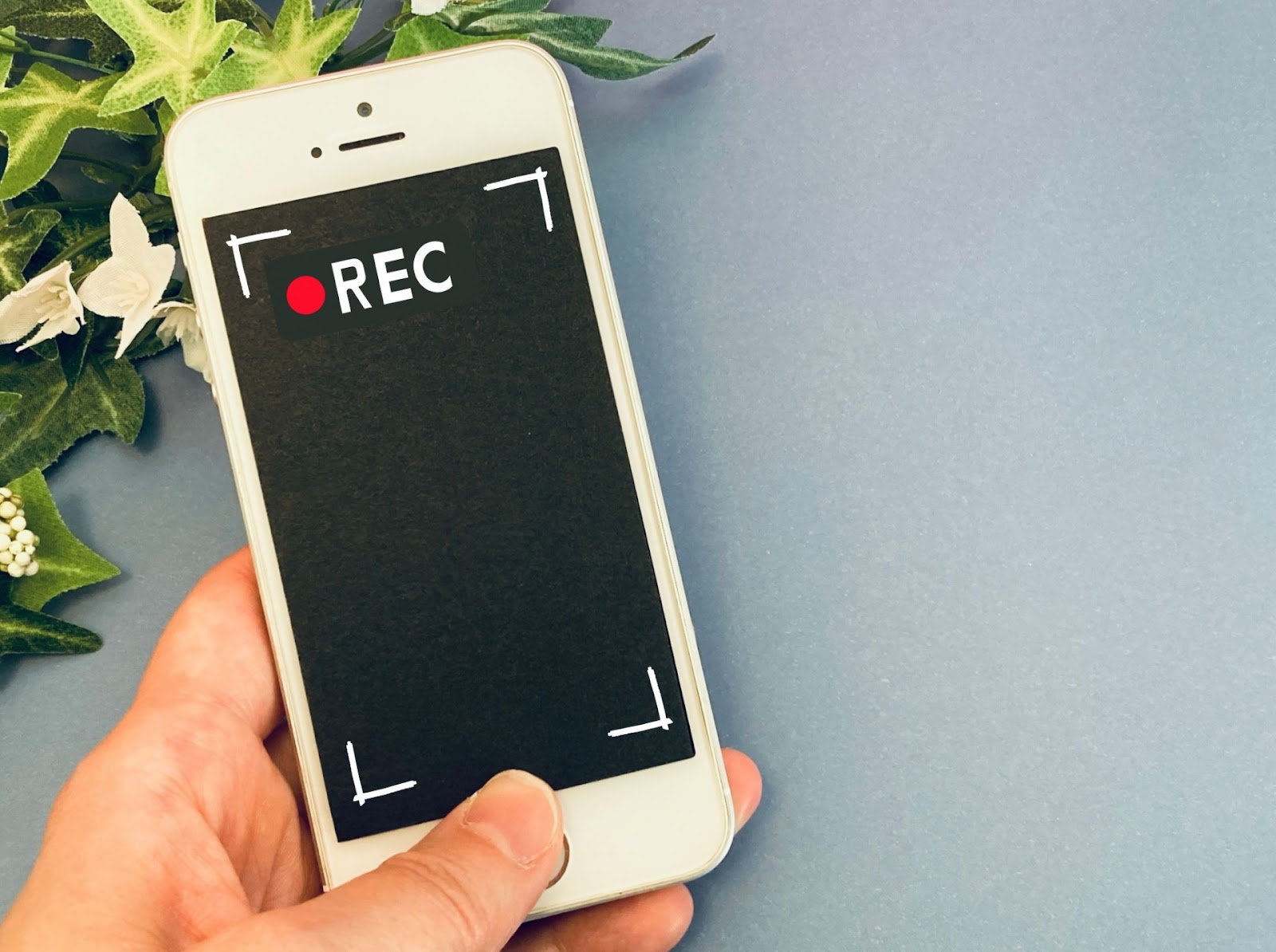 image5.jpg image5.jpg