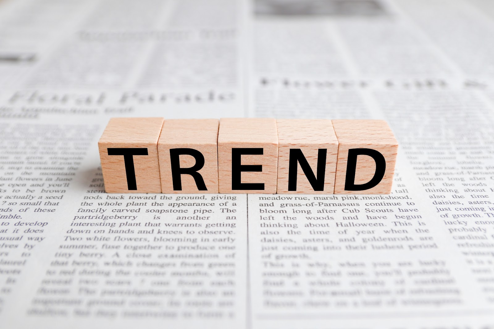 unnamed (79).jpg unnamed (79).jpg