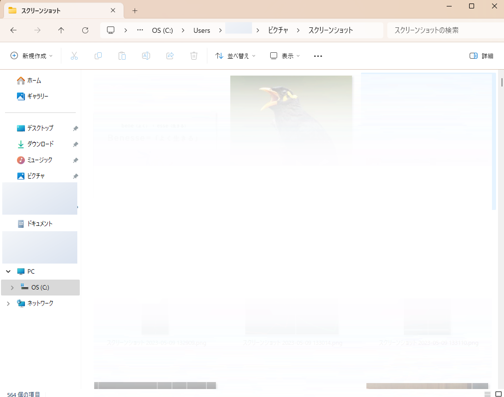 image2.png image2.png