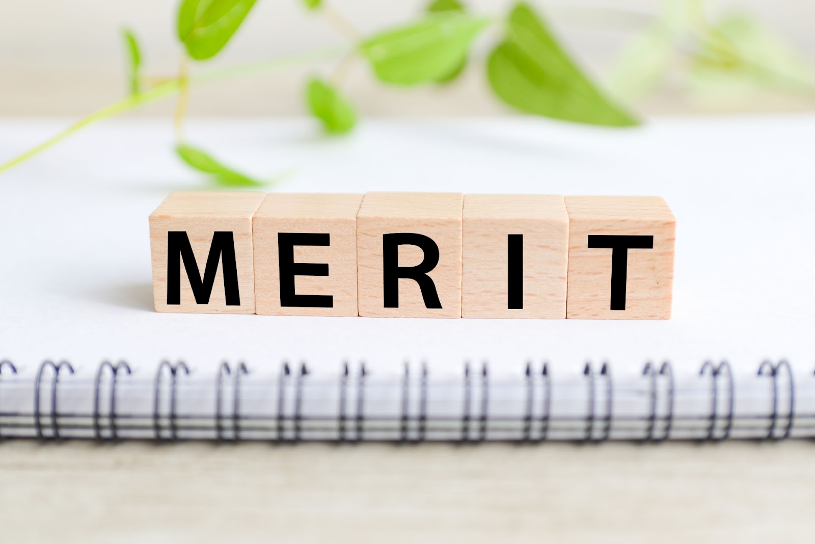 unnamed (63).jpg unnamed (63).jpg