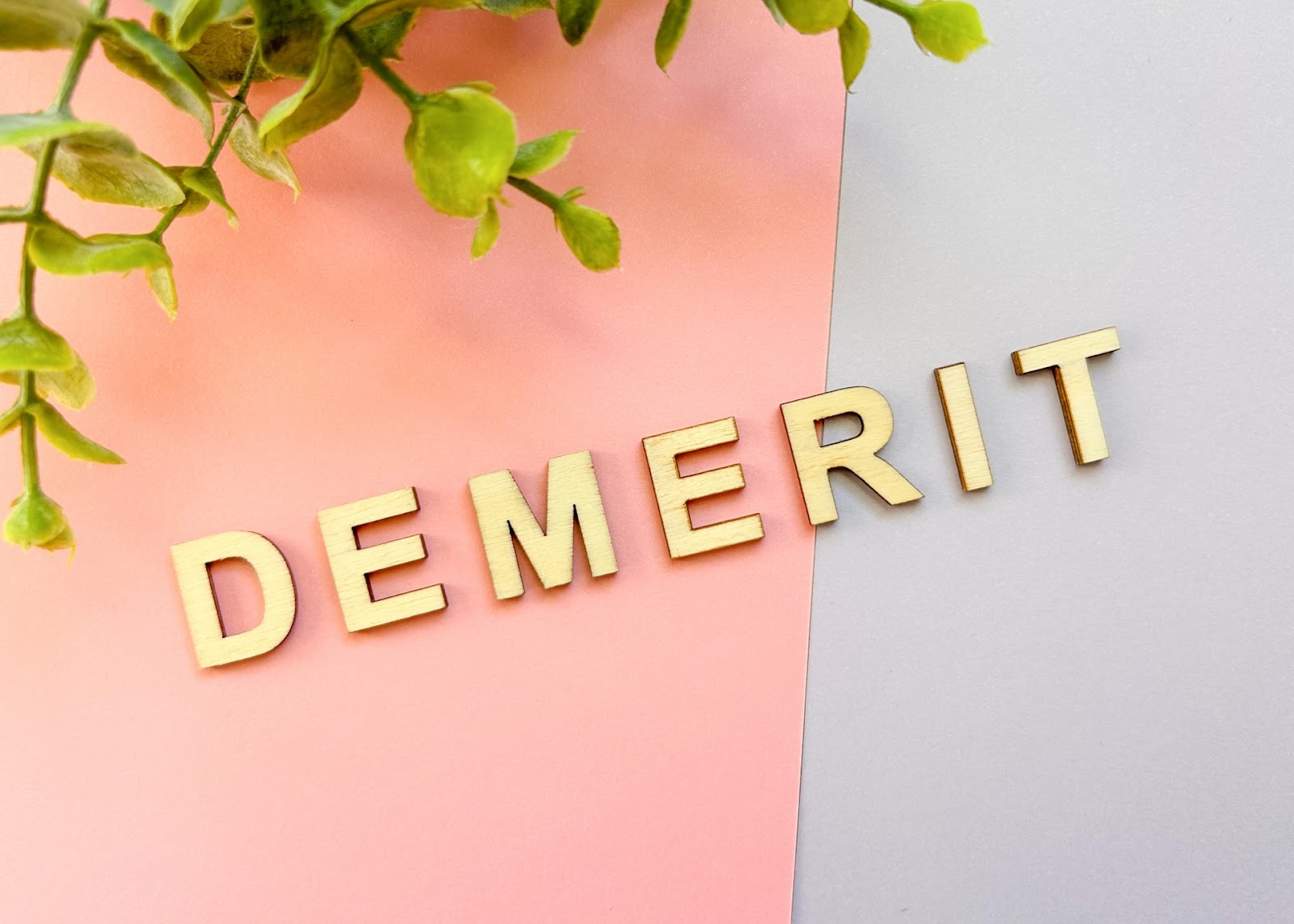 unnamed (64).jpg unnamed (64).jpg