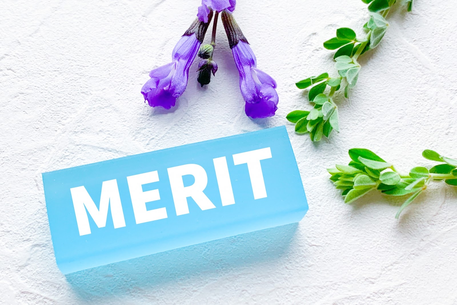 2bb87879-0cee-4c15-a498-0fbdf43c0262.jpeg 2bb87879-0cee-4c15-a498-0fbdf43c0262.jpeg