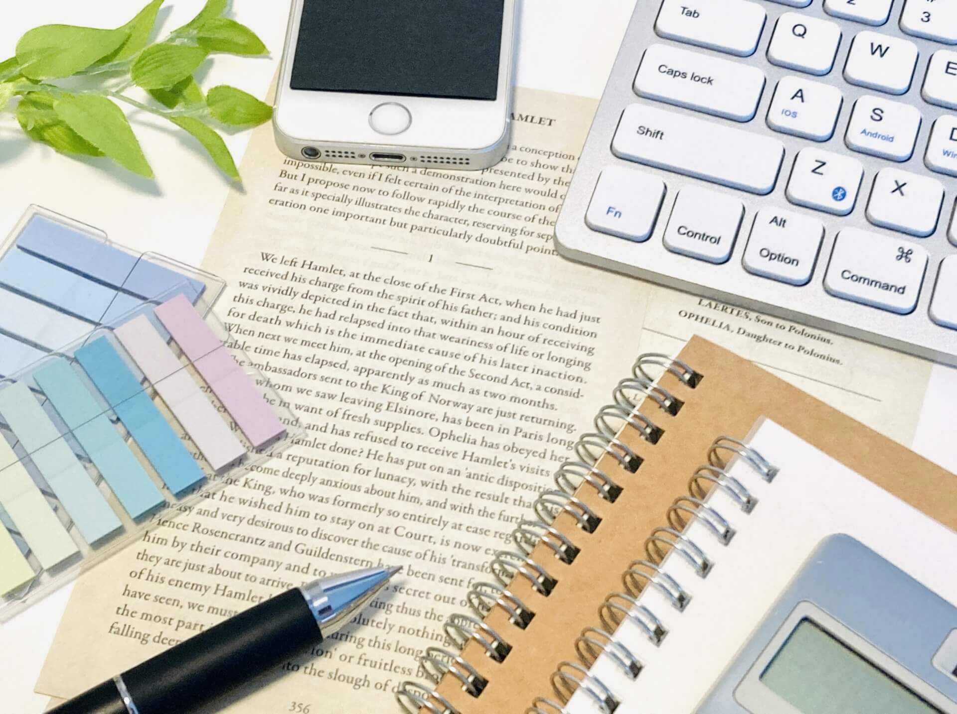 27844590_m (1).jpg 27844590_m (1).jpg